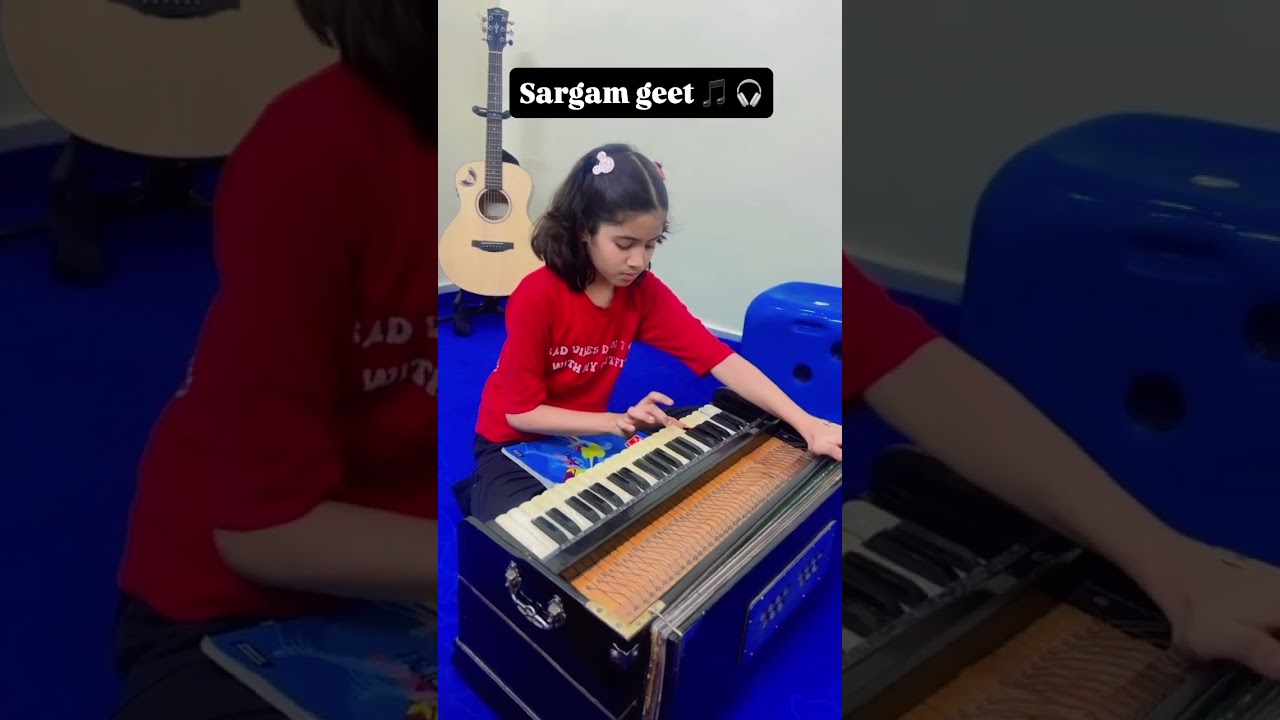Contact for learn music_Harmonium Burari #burari #harmonium